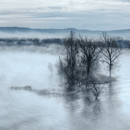 Ambient